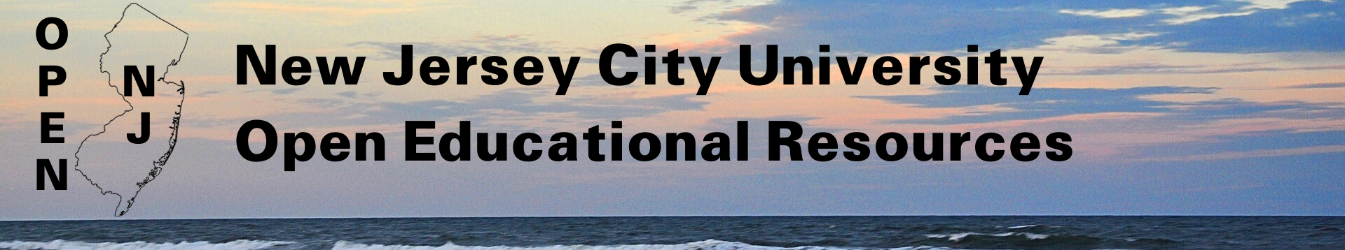New Jersey City University